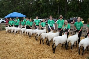 2019 Beeton Fall Fair