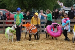 2019 Beeton Fall Fair