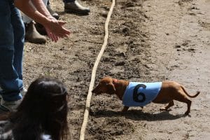 2019 Beeton Fall Fair