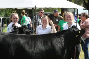 Beeton Fair Livestock Exhibitors