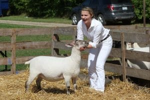 2019 Beeton Fall Fair