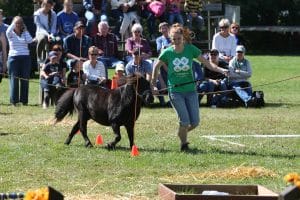 2019 Beeton Fall Fair