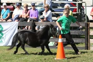 2019 Beeton Fall Fair