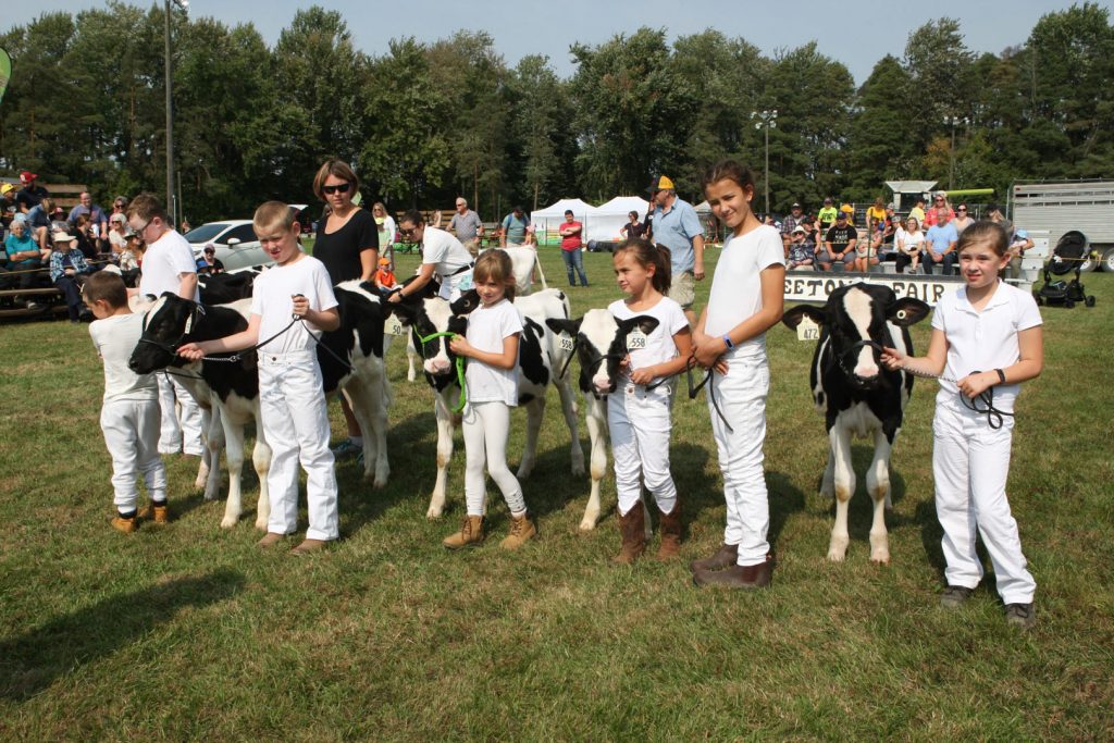 Jr Dairy Competition at Beeton Fall Fair