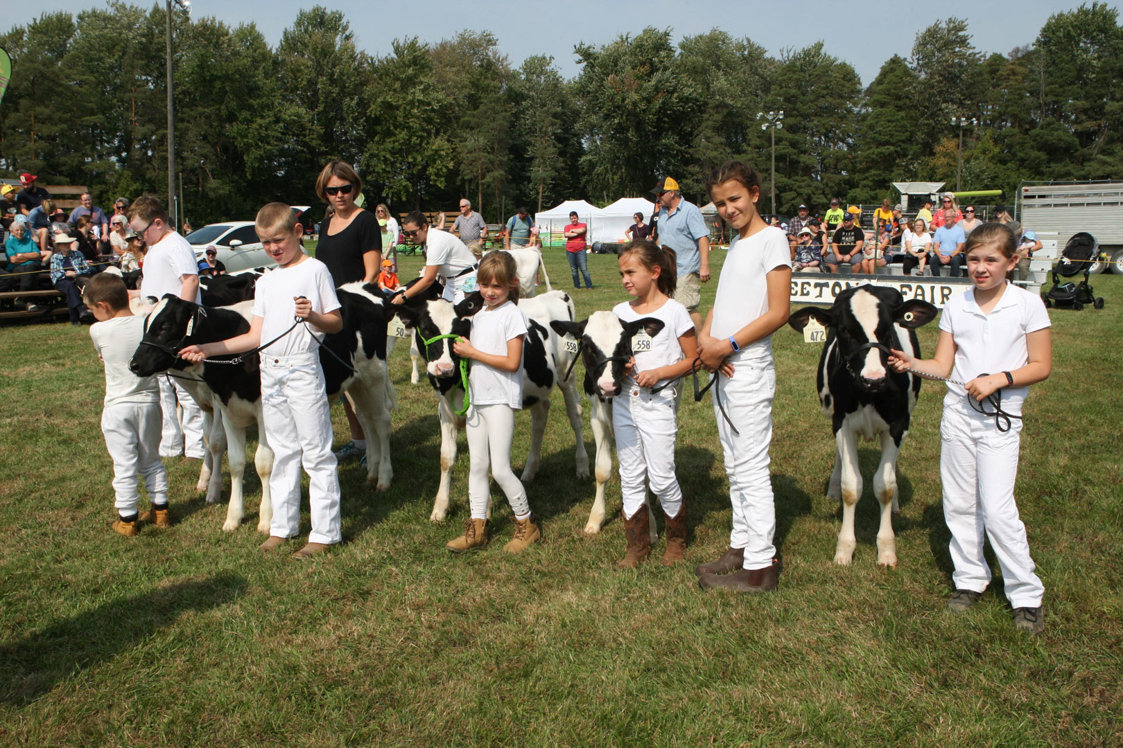 4-H Shows