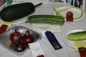 Garden Vegetables