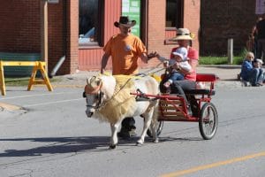 2023 Beeton Fall Fair