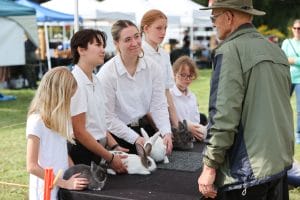 2023 Beeton Fall Fair