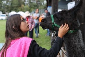 2023 Beeton Fall Fair