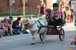 2024 Beeton Fair