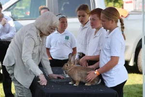 2024 Beeton Fair