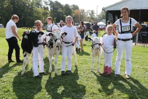 2024 Beeton Fair