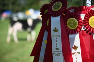 2024 Beeton Fair