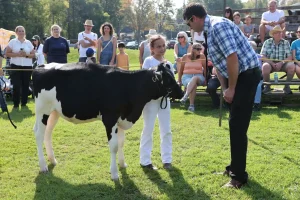 2024 Beeton Fair