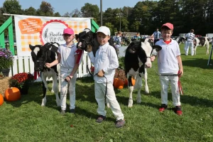 2024 Beeton Fair