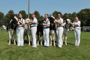 2024 Beeton Fair