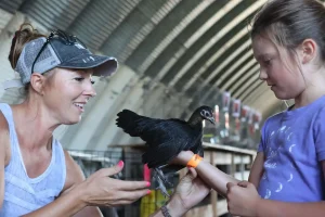 2024 Beeton Fair