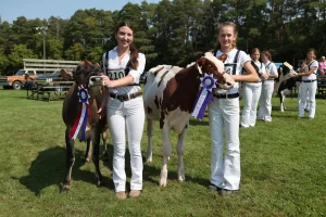2024 Beeton Fair