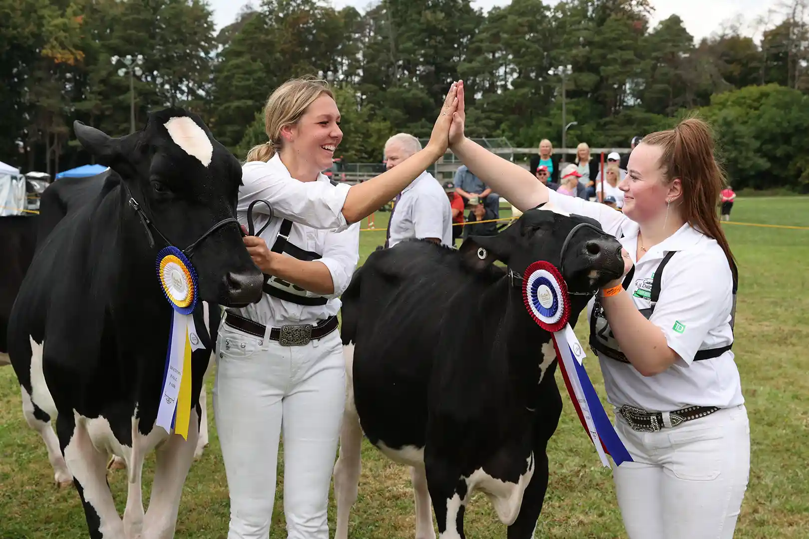 Beeton Fall Fair Turns 170: Here's What's Happening September 18–20