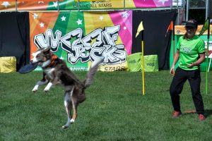 Woofjocks Canine All-Stars at Beeton Fair