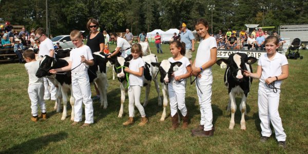 Jr Dairy Competition at Beeton Fall Fair