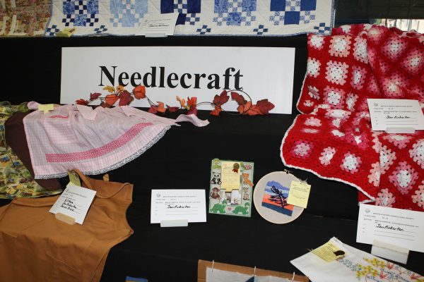 Needlecraft Class 29