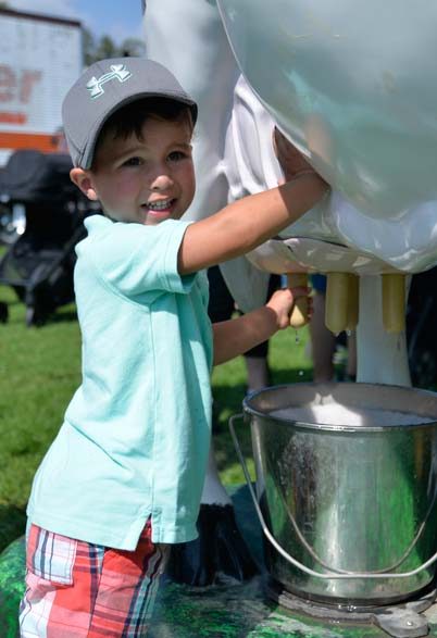 Hands-on cow milking