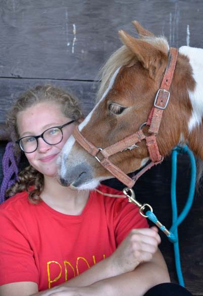 Miniature Horse Demonstrations