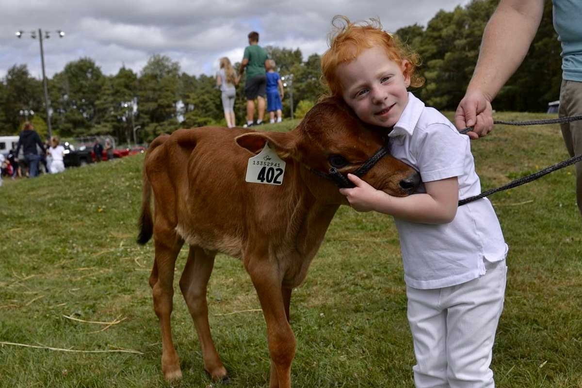 Beeton Fall Fair Cancelled for 2020